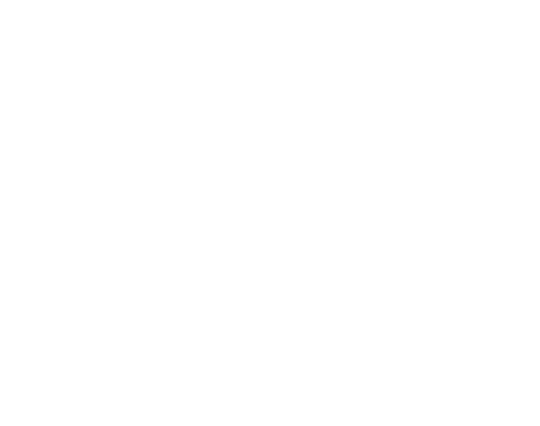 CELSIUS OFFENBURG